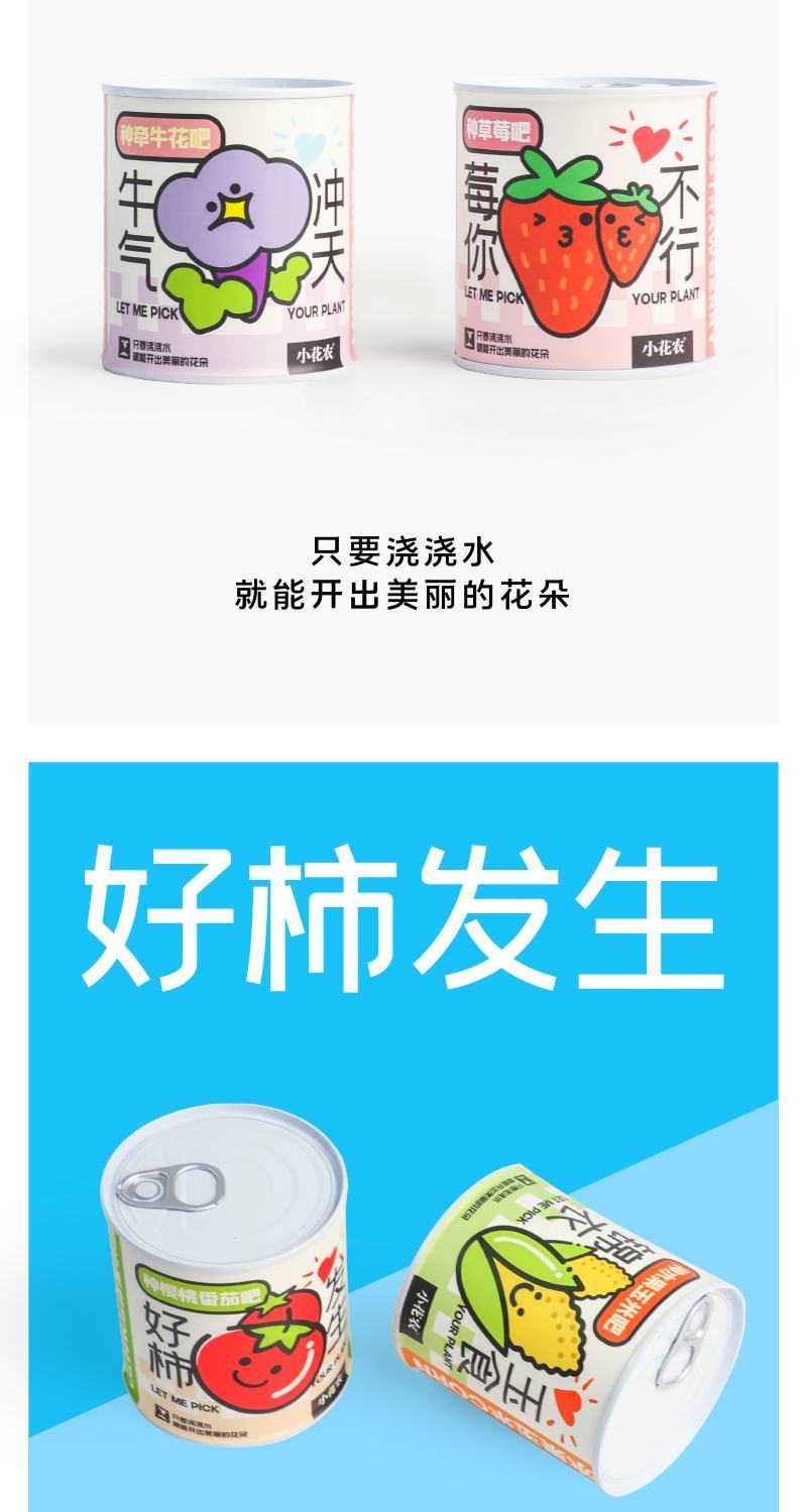 网红种植小盆栽儿童diy草莓种植罐头四叶草盆栽办公室迷你