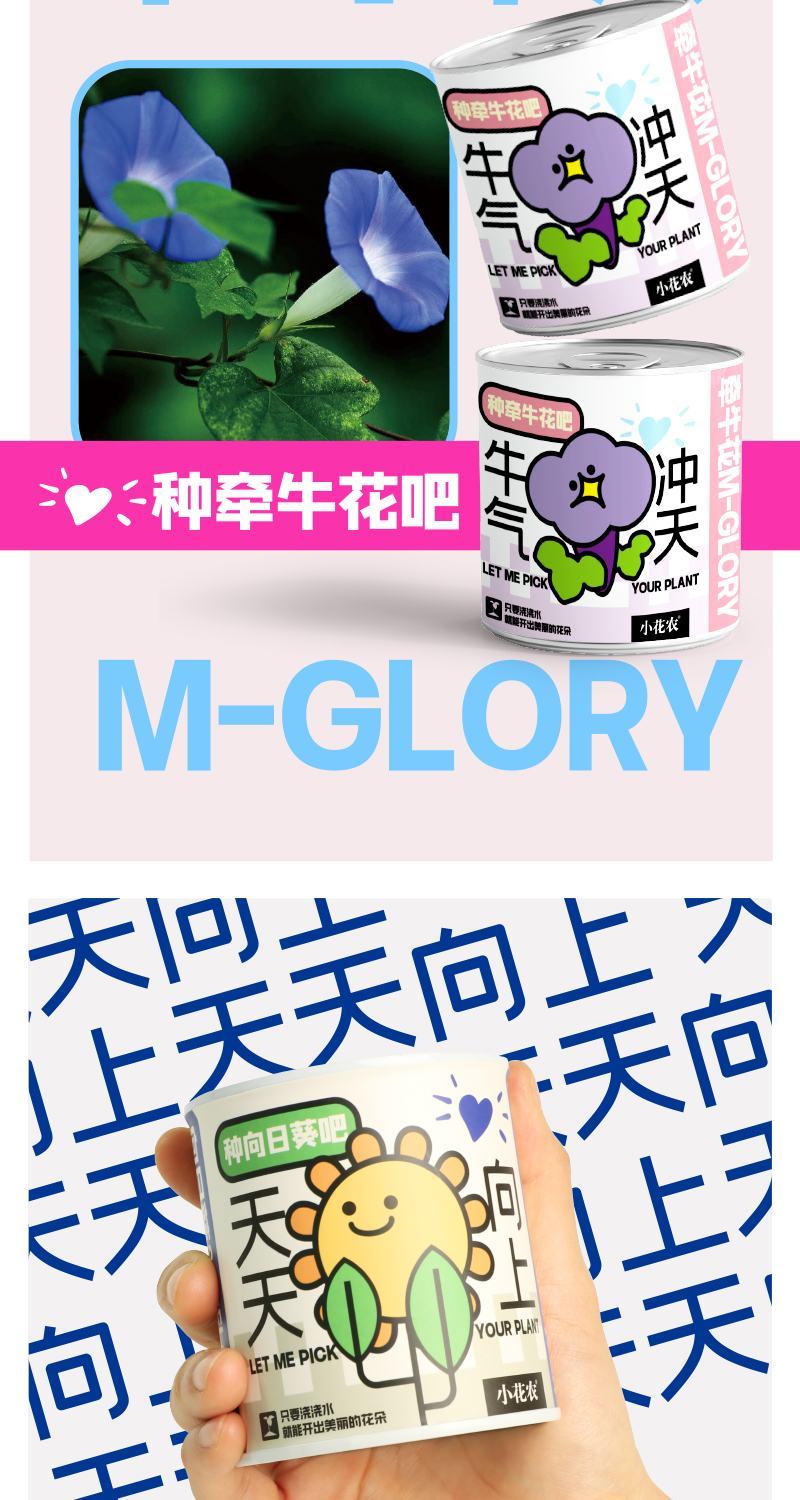 网红种植小盆栽儿童diy草莓种植罐头四叶草盆栽办公室迷你