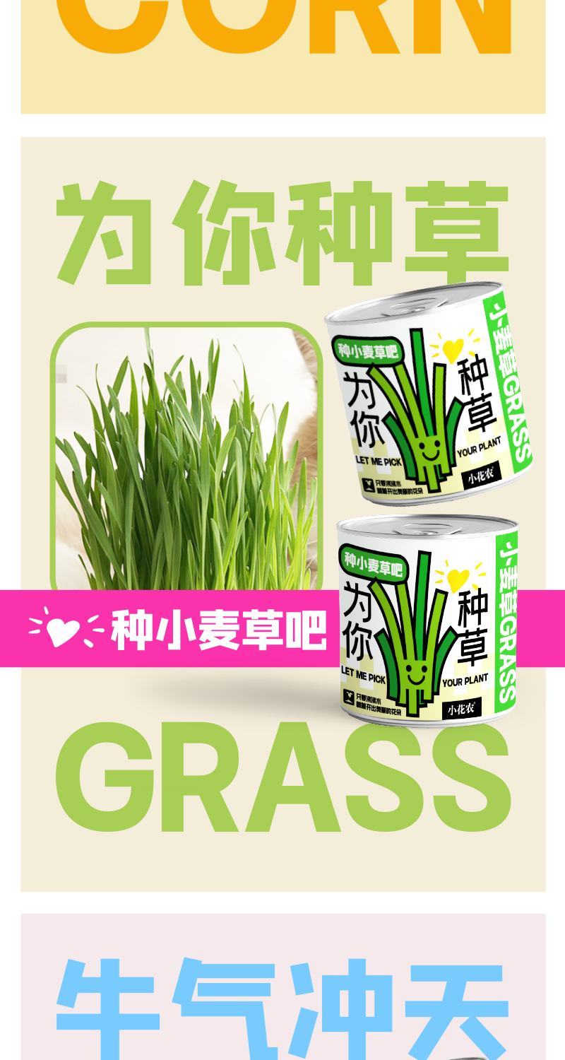 网红种植小盆栽儿童diy草莓种植罐头四叶草盆栽办公室迷你