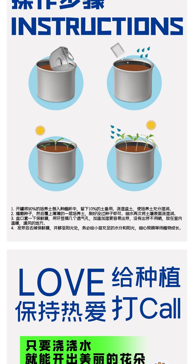 网红种植小盆栽儿童diy草莓种植罐头四叶草盆栽办公室迷你