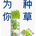 网红种植小盆栽儿童diy草莓种植罐头四叶草盆栽办公室迷你