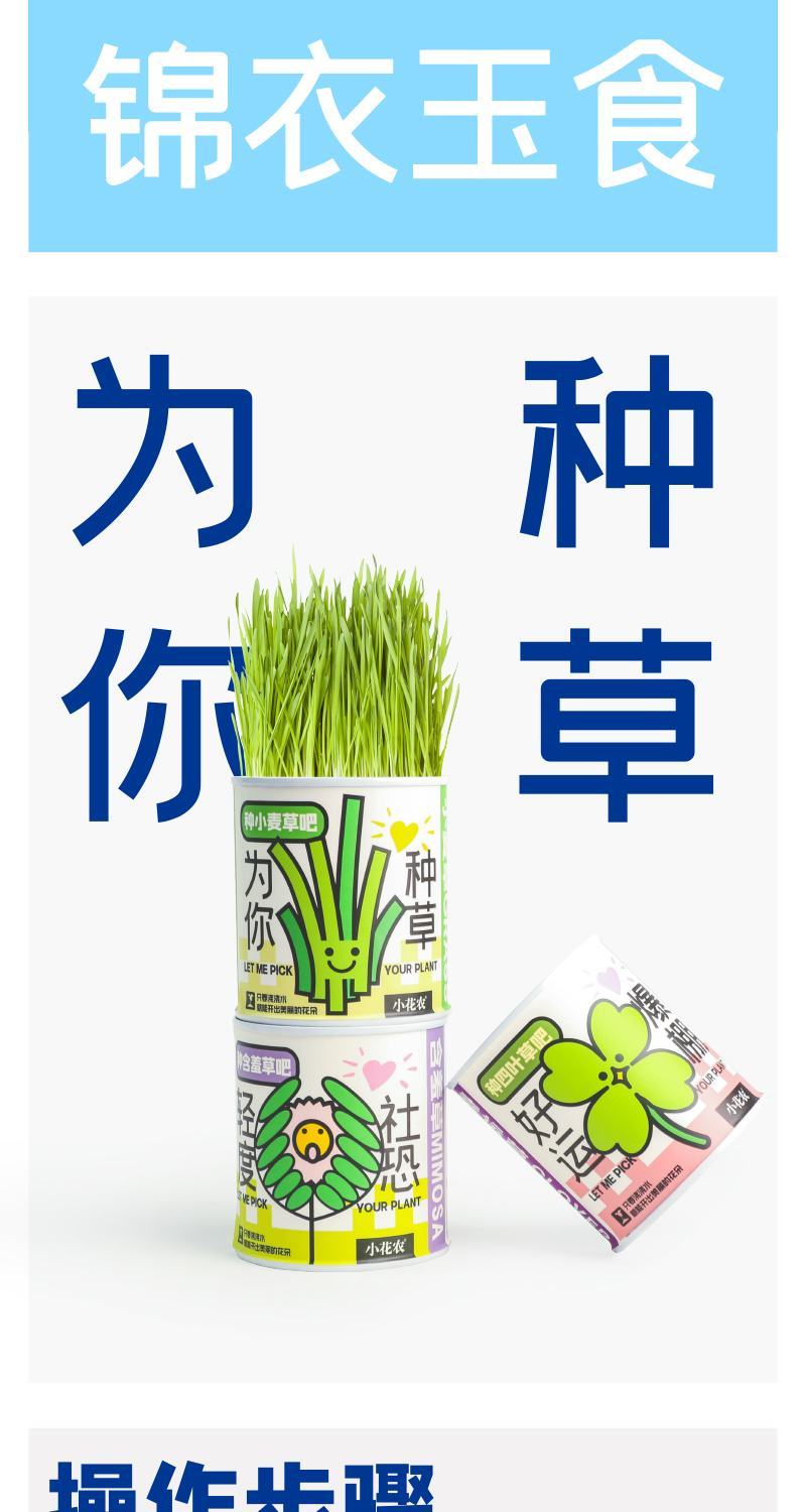 网红种植小盆栽儿童diy草莓种植罐头四叶草盆栽办公室迷你