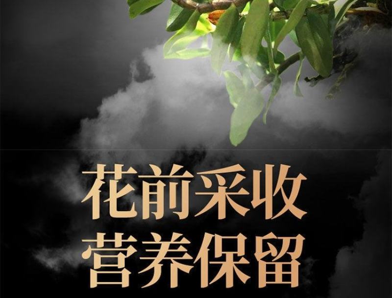 正品霍山铁皮石斛特级枫斗正宗5年生长鲜干条特级中药材正品