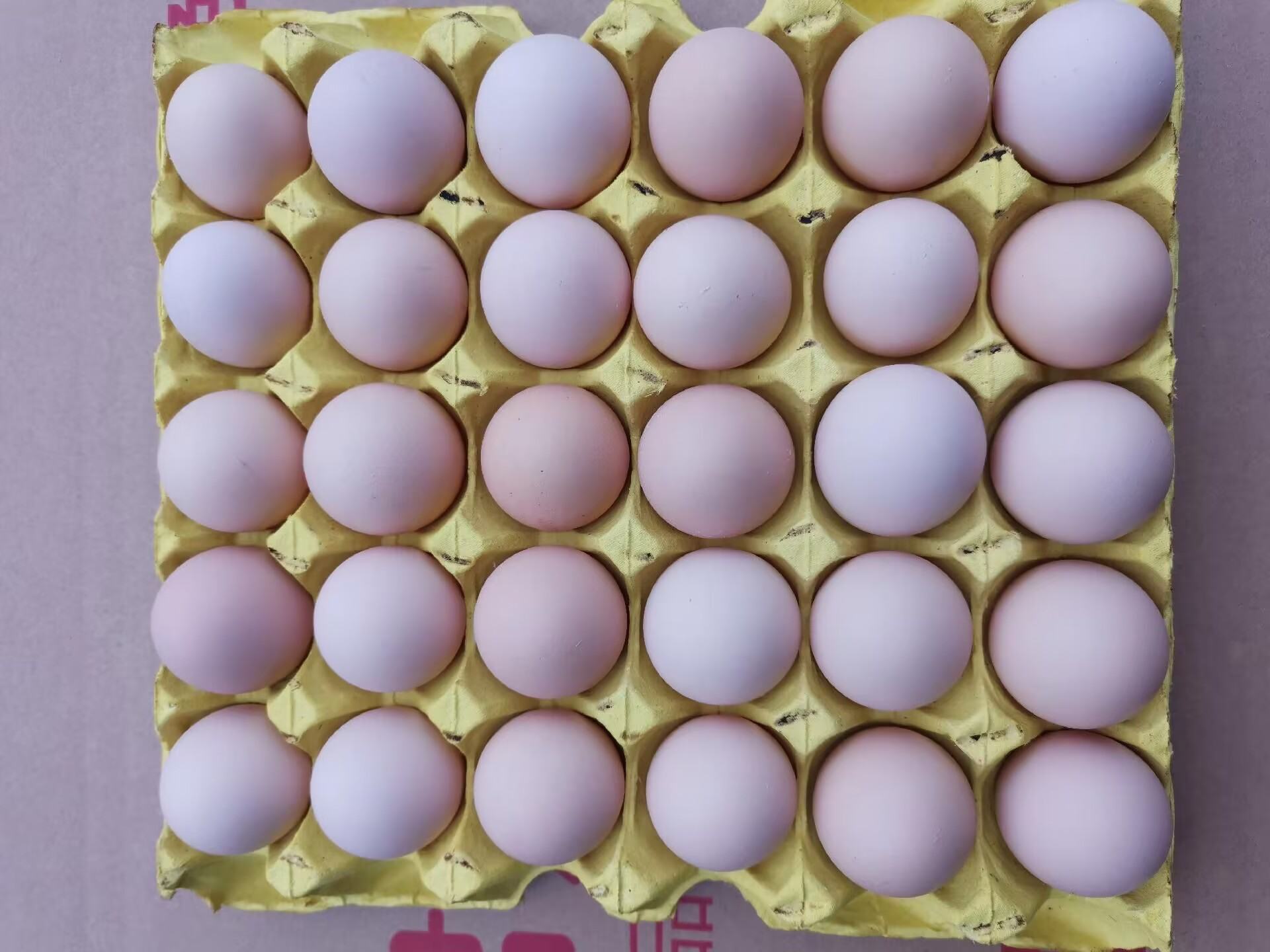 展示鸡蛋在冰箱冷藏室内正确摆放的示意图,鸡蛋大头朝上,置于专用蛋托中 鸡蛋冷藏保存示意图