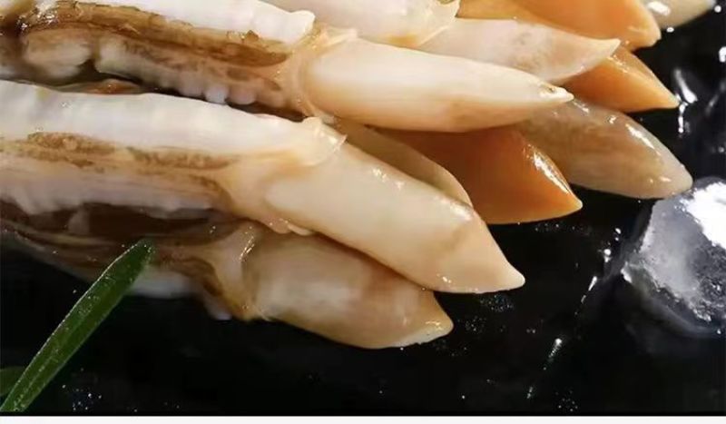 新鲜冷冻大个蛏王肉大竹蛏肉现竹节蛏大蛏肉现剥海鲜无冰衣
