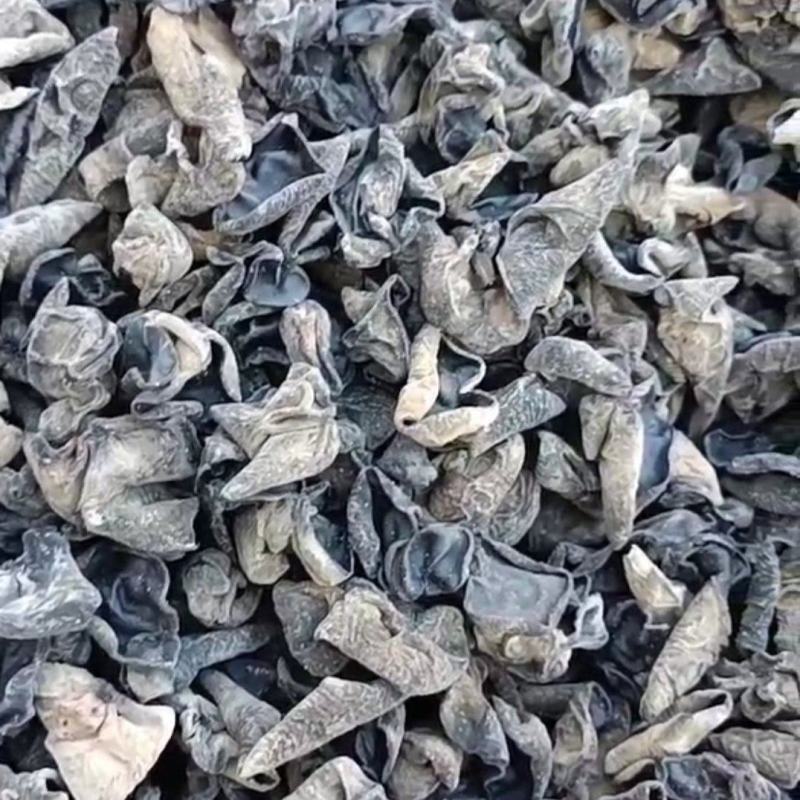精选东北黑木耳东北特产可以开视频看货