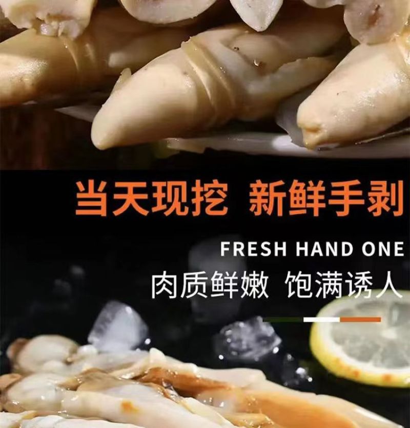 新鲜冷冻大个蛏王肉大竹蛏肉现竹节蛏大蛏肉现剥海鲜无冰衣