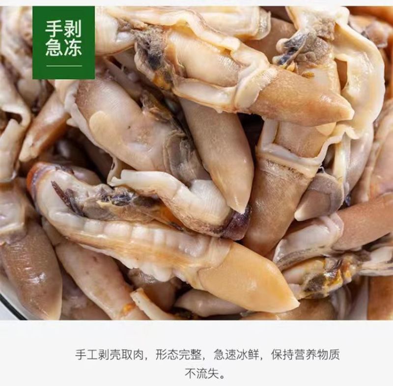 新鲜冷冻大个蛏王肉大竹蛏肉现竹节蛏大蛏肉现剥海鲜无冰衣