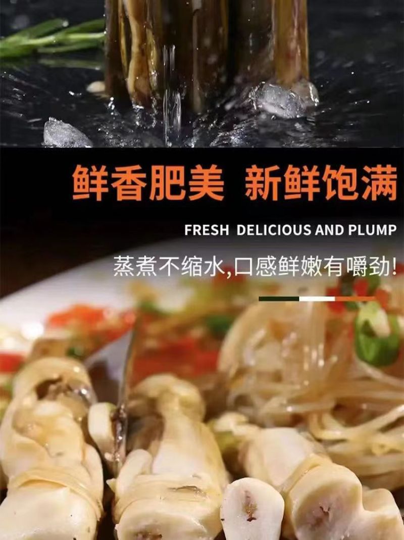 新鲜冷冻大个蛏王肉大竹蛏肉现竹节蛏大蛏肉现剥海鲜无冰衣