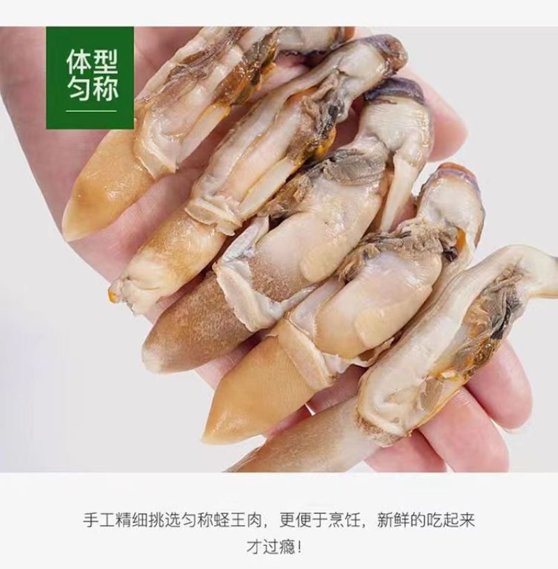 新鲜冷冻大个蛏王肉大竹蛏肉现竹节蛏大蛏肉现剥海鲜无冰衣