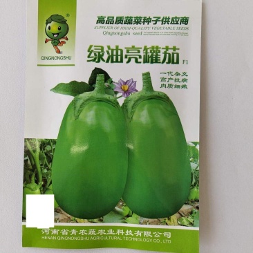 绿油亮罐茄茄子种子,有高产抗病潜力肉质细腻,青茄绿茄种子