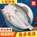 七星鲈鱼新鲜鲜活冷冻深海花鲈鱼开背黑鲈鱼鲞黄鱼去内脏海鲜