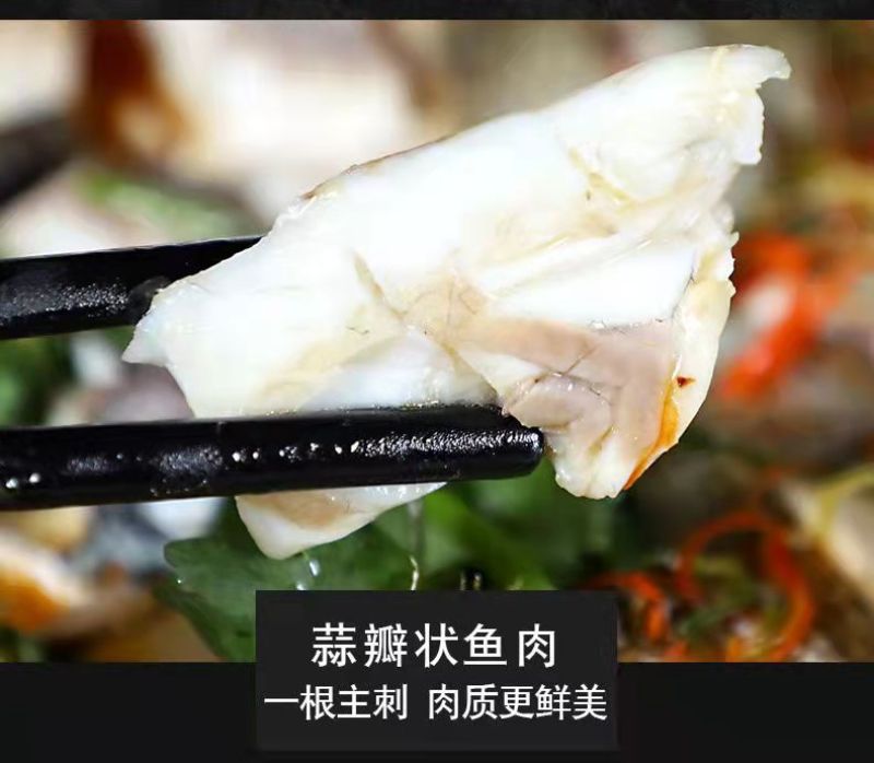 七星鲈鱼新鲜鲜活冷冻深海花鲈鱼开背黑鲈鱼鲞黄鱼去内脏海鲜