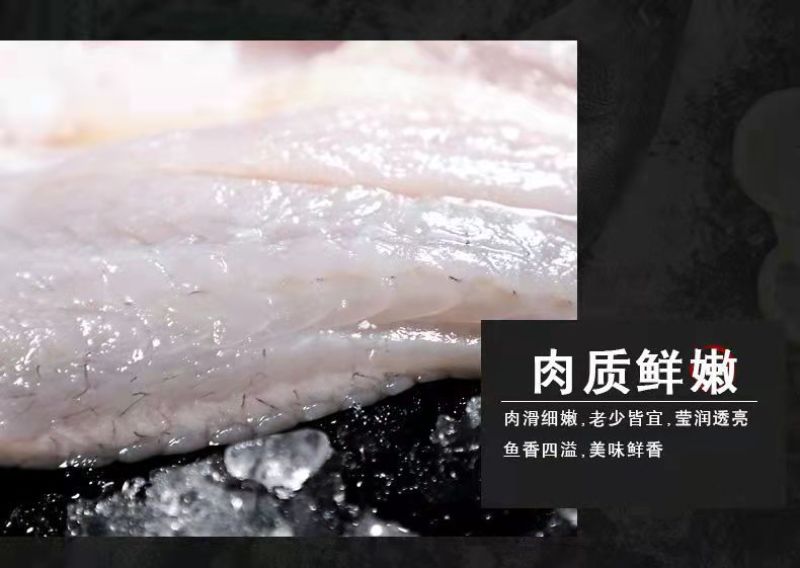 七星鲈鱼新鲜鲜活冷冻深海花鲈鱼开背黑鲈鱼鲞黄鱼去内脏海鲜