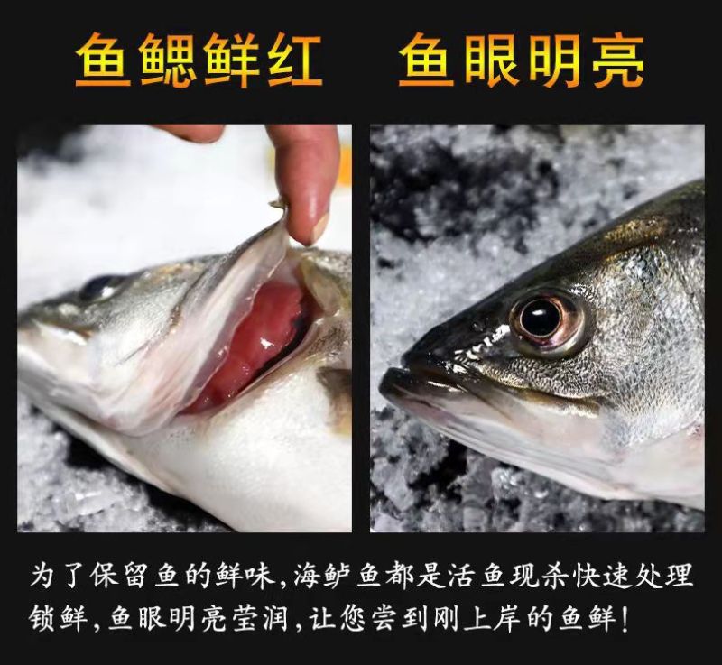 七星鲈鱼新鲜鲜活冷冻深海花鲈鱼开背黑鲈鱼鲞黄鱼去内脏海鲜