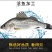七星鲈鱼新鲜鲜活冷冻深海花鲈鱼开背黑鲈鱼鲞黄鱼去内脏海鲜