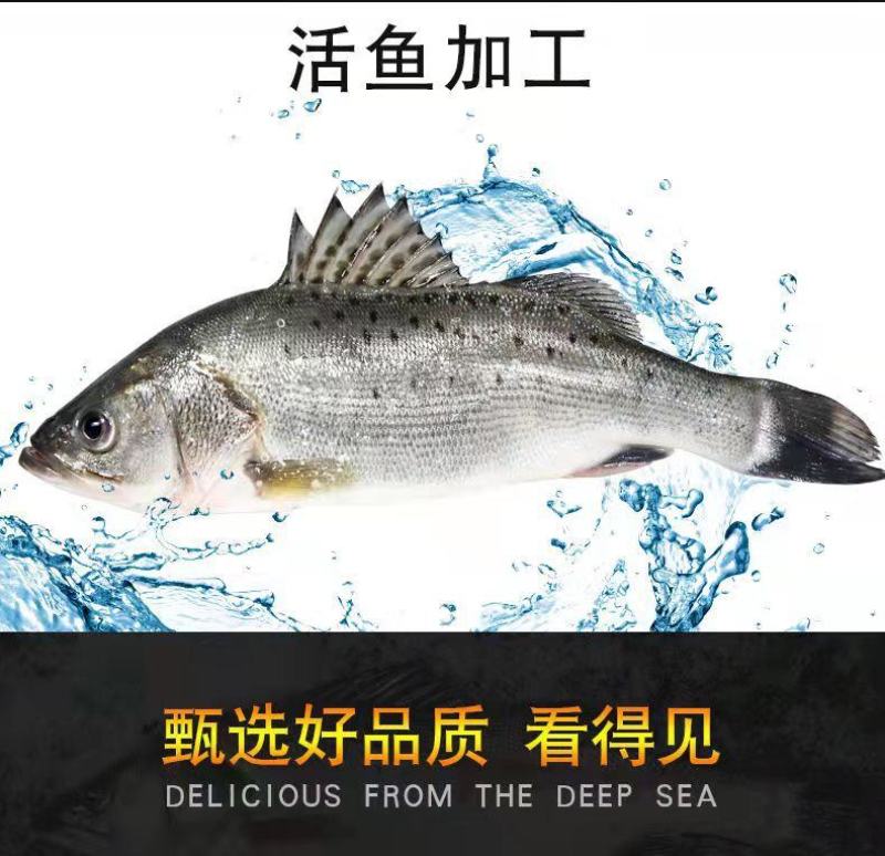 七星鲈鱼新鲜鲜活冷冻深海花鲈鱼开背黑鲈鱼鲞黄鱼去内脏海鲜