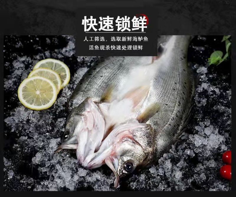 七星鲈鱼新鲜鲜活冷冻深海花鲈鱼开背黑鲈鱼鲞黄鱼去内脏海鲜