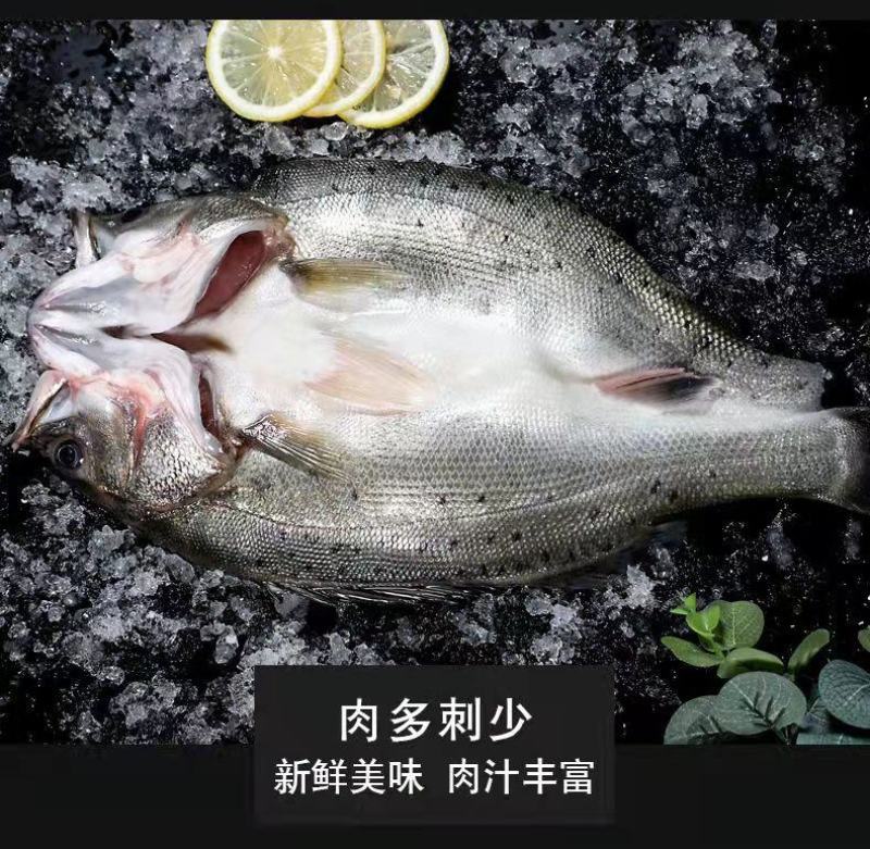 七星鲈鱼新鲜鲜活冷冻深海花鲈鱼开背黑鲈鱼鲞黄鱼去内脏海鲜