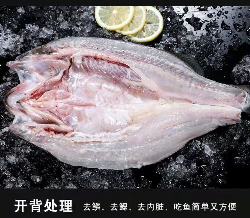 七星鲈鱼新鲜鲜活冷冻深海花鲈鱼开背黑鲈鱼鲞黄鱼去内脏海鲜
