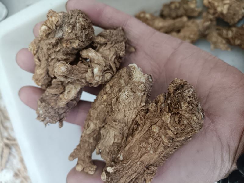 岷县当归头无硫煲汤中药材批发干货精选特产产地发货过筛