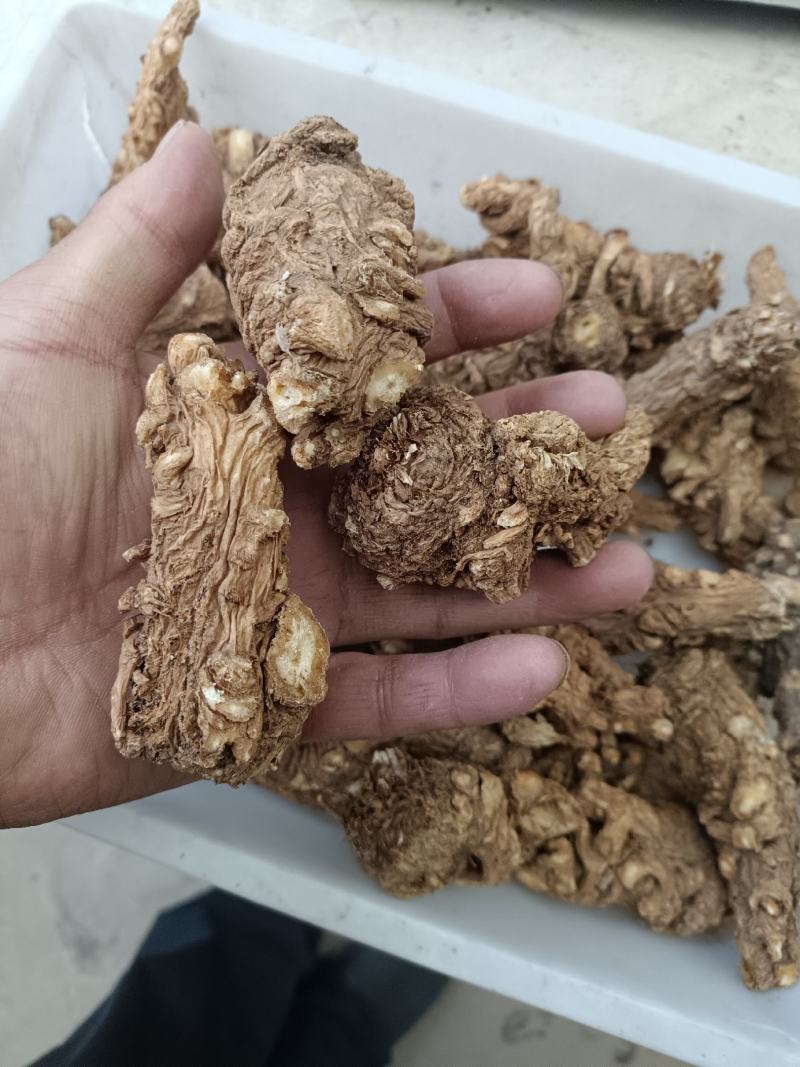 岷县当归头无硫煲汤中药材批发干货精选特产产地发货过筛
