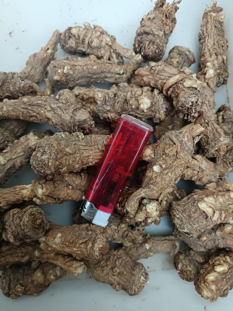 岷县当归头无硫煲汤中药材批发干货精选特产产地发货过筛