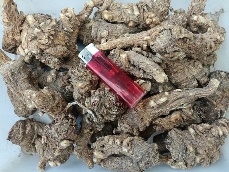 岷县当归头无硫煲汤中药材批发干货精选特产产地发货过筛