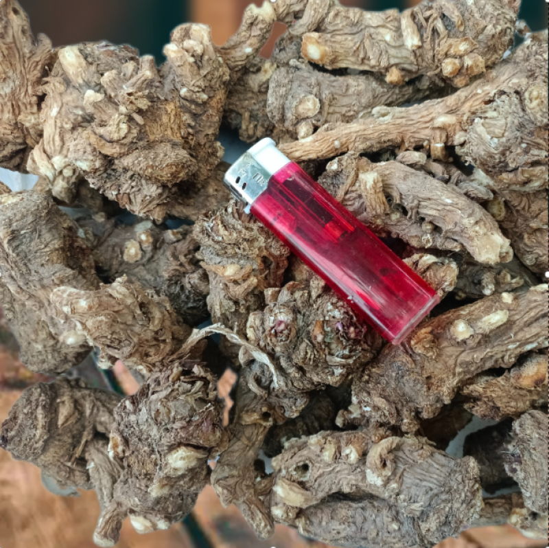 岷县当归头无硫煲汤中药材批发干货精选特产产地发货过筛