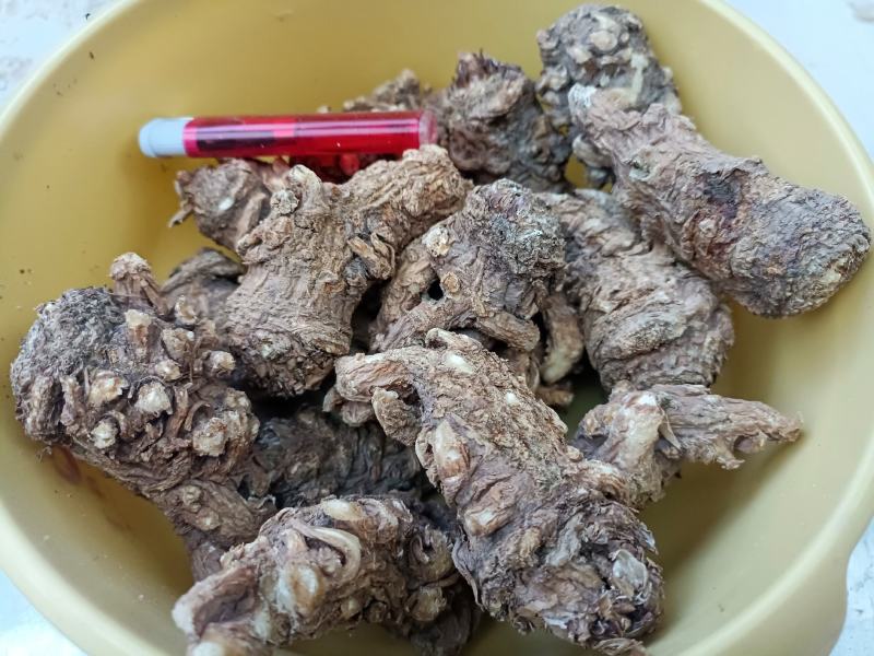 岷县当归头无硫煲汤中药材批发干货精选特产产地发货过筛