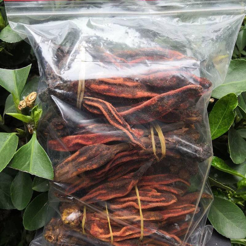 云南野生不老草回春草顶天柱男性泡茶泡酒料起阳草多规格