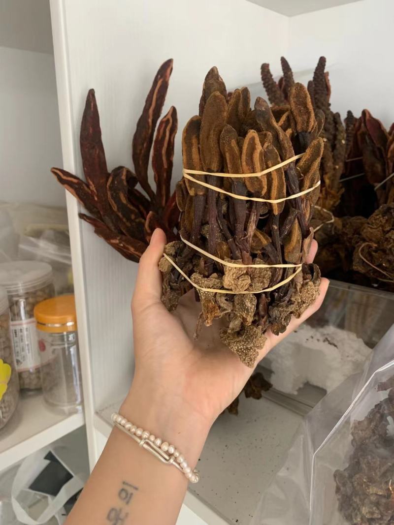 云南野生不老草回春草顶天柱男性泡茶泡酒料起阳草多规格
