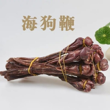 海狗鞭海狗肾传统滋男滋补品养生泡酒料煲汤料鹿鞭驴鞭狗