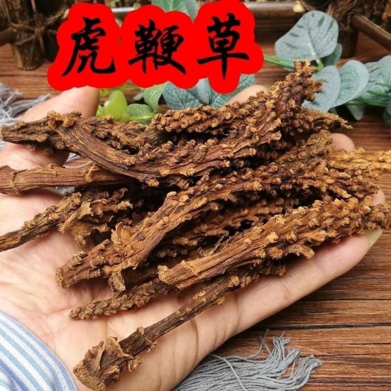 虎鞭草顶天柱阳鞭劲回春草:云南苗家腾冲特产野生中草药