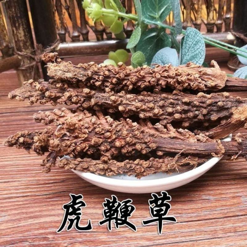 虎鞭草顶天柱阳鞭劲回春草:云南苗家腾冲特产野生中草药