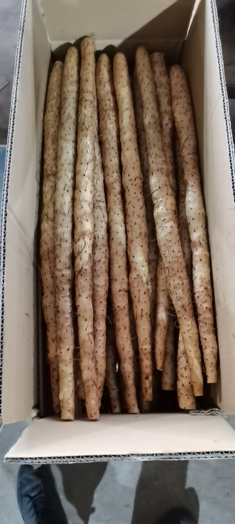 河北麻山药，紫药白皮，各大平台供应，湖南拼多多，盒马平台