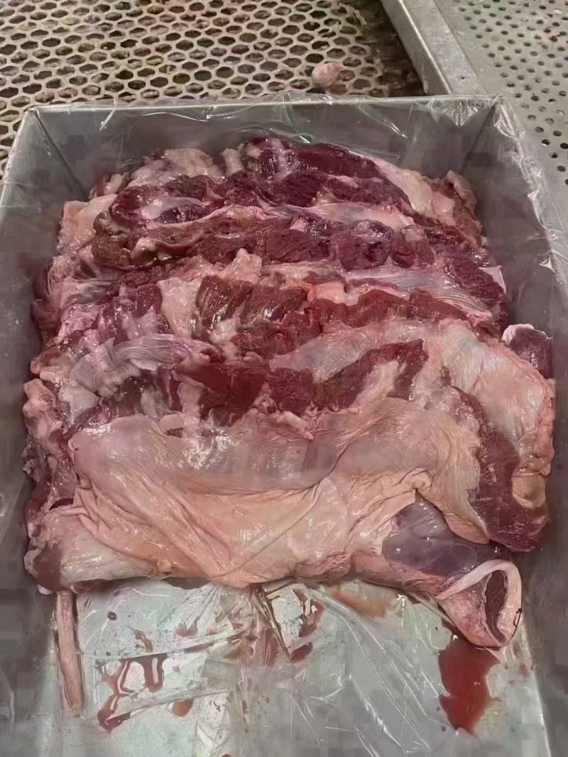 母猪护心肉，罗根肉，新货，长期生产，品质保证，供应稳定