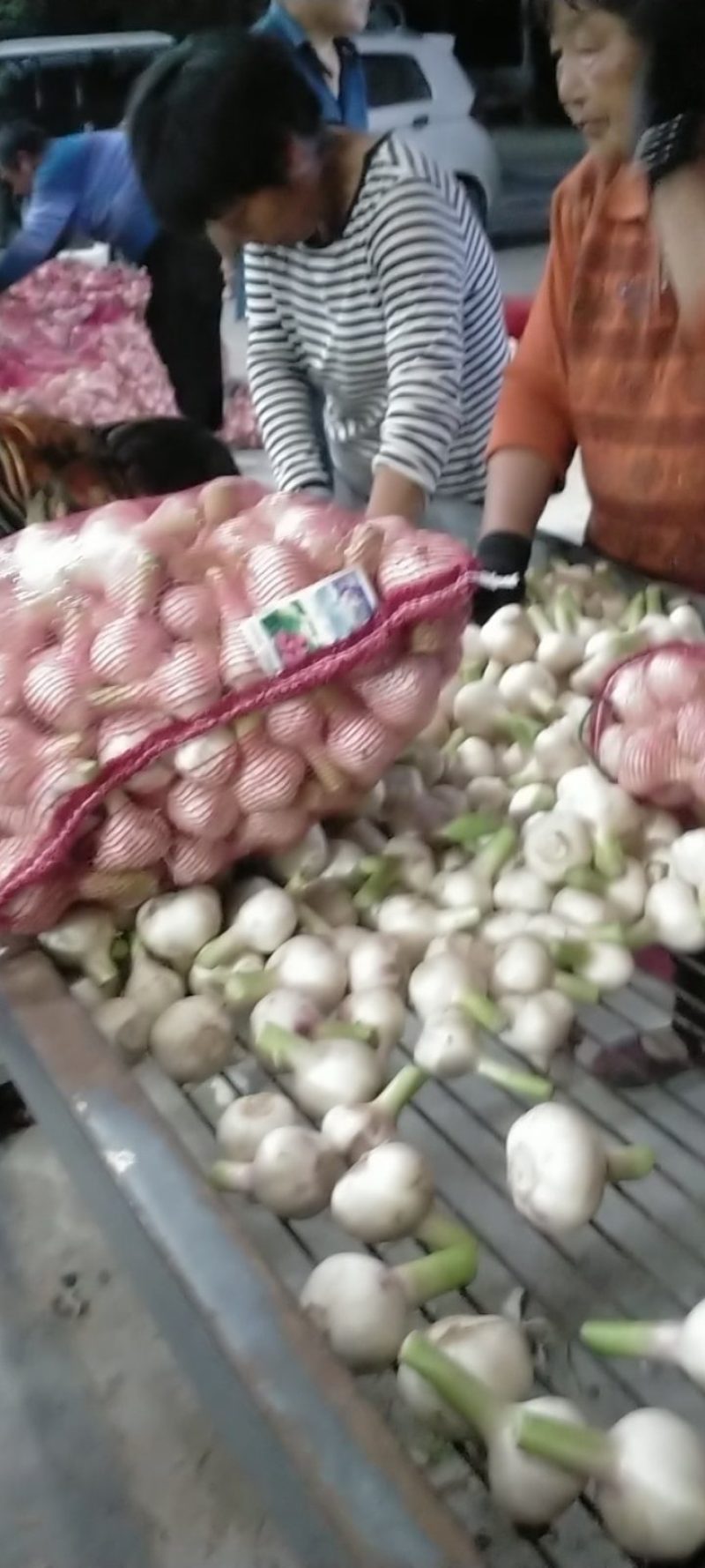 扒皮蒜大量上市欢迎订购，价格随行收货