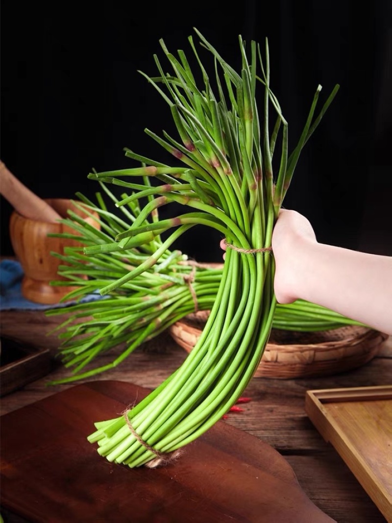 蒜苔种植户25年新货村里种植的千亩大蒜诚招收购商