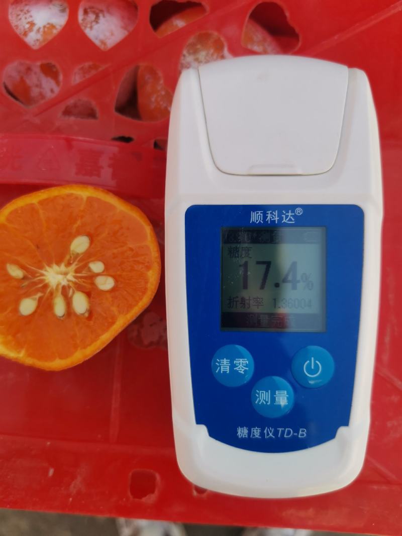 网红脏脏柑