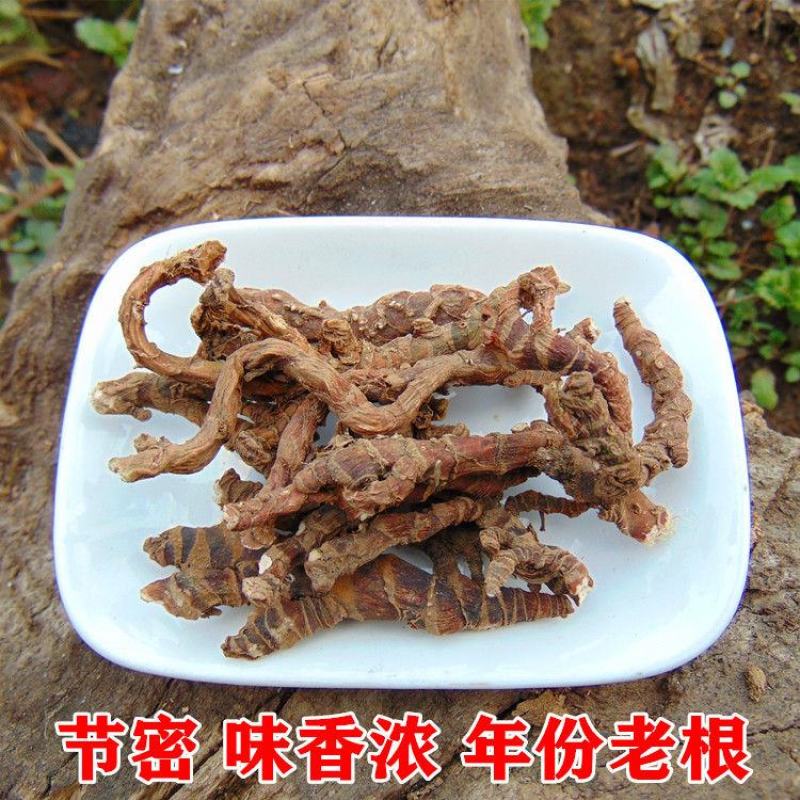 顶天柱不老草硬的快云南野生石菖蒲九节菖蒲