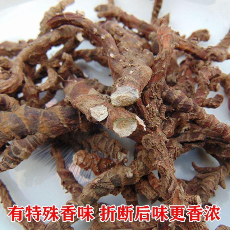 顶天柱不老草硬的快云南野生石菖蒲九节菖蒲