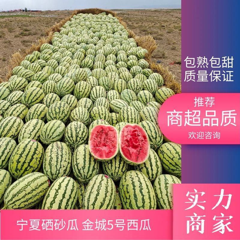 【推荐】宁夏金城5号西西瓜代办包熟包甜供应市场商超电商