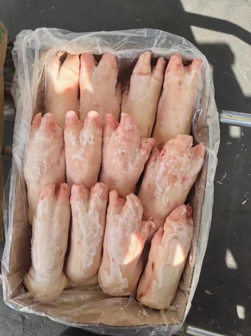 母猪一级带筋猪蹄，新货，长期生产，品质保证，供应稳定