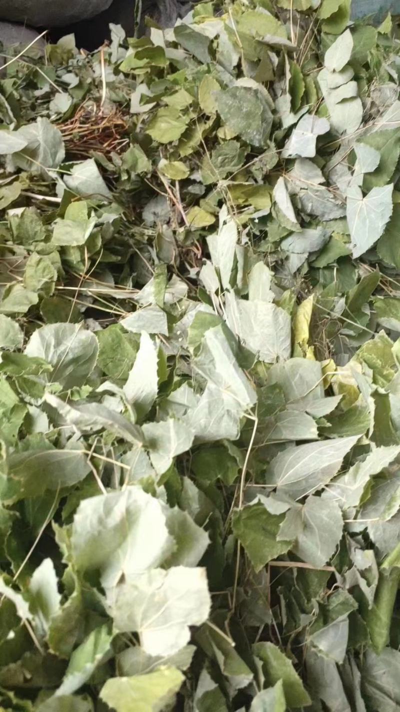 淫羊藿中药材男性泡茶水淫羊藿叶仙灵脾泡酒搭肉苁蓉锁阳