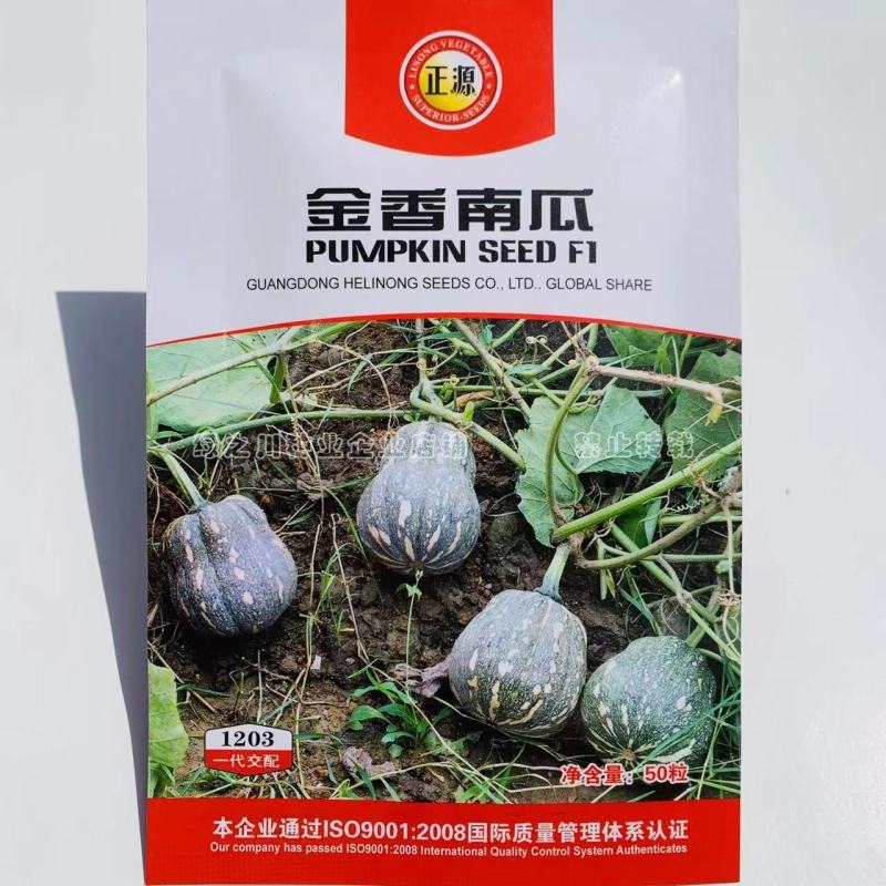 正源金香南瓜种子矮生搭架两用杂交香栗南瓜种籽基地专用通货