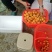 贵州安顺五星枇杷味道纯甜套网袋泡市超电商沫箱打包全国