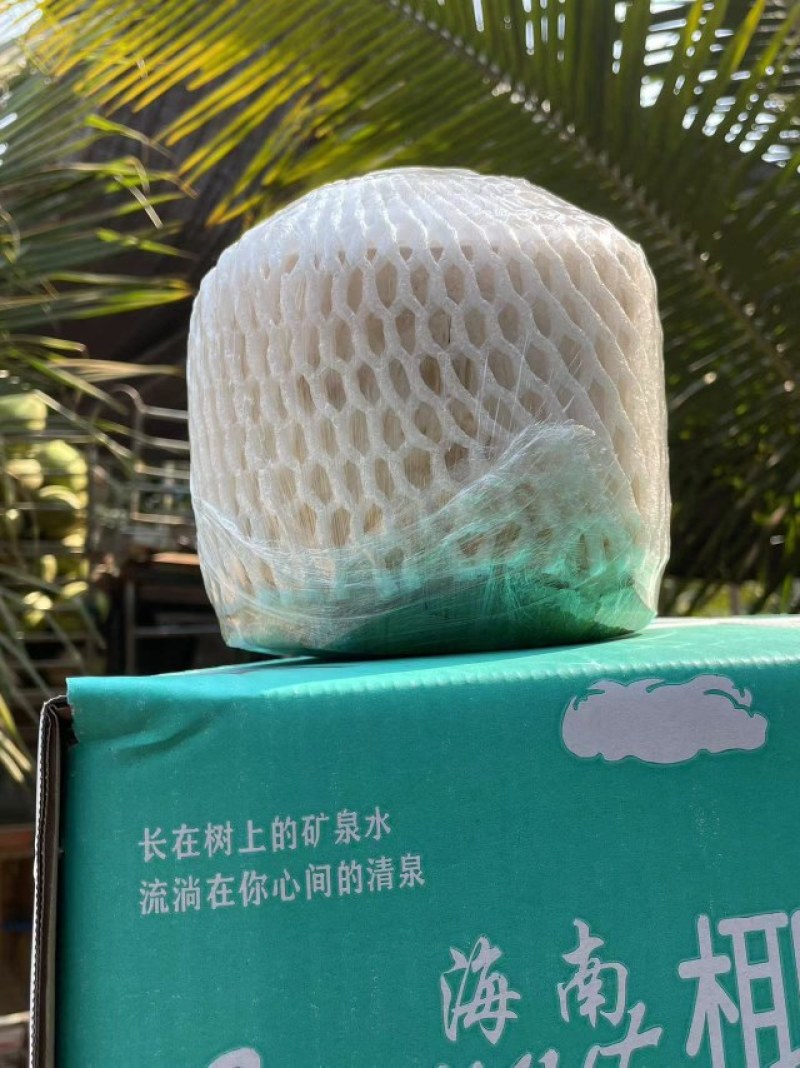 海南椰青基地直供批发可视频看货欢迎咨询下单