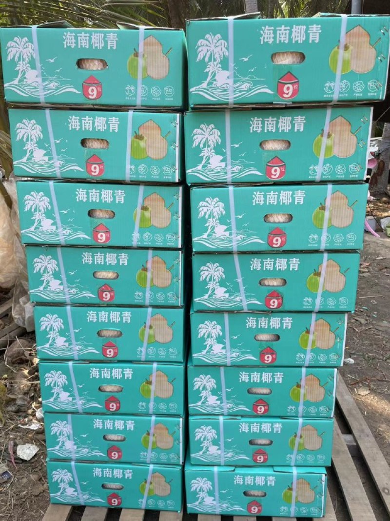 海南椰青基地直供批发可视频看货欢迎咨询下单