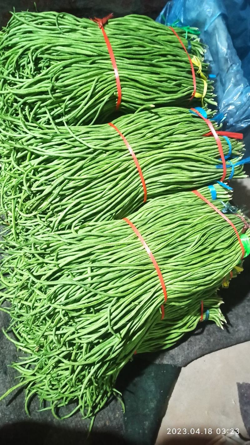 新上精品长豆角，大量上市中，欢迎老板采购
